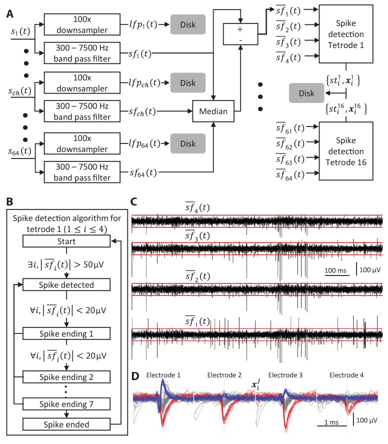 Figure 2—figure supplement 1.