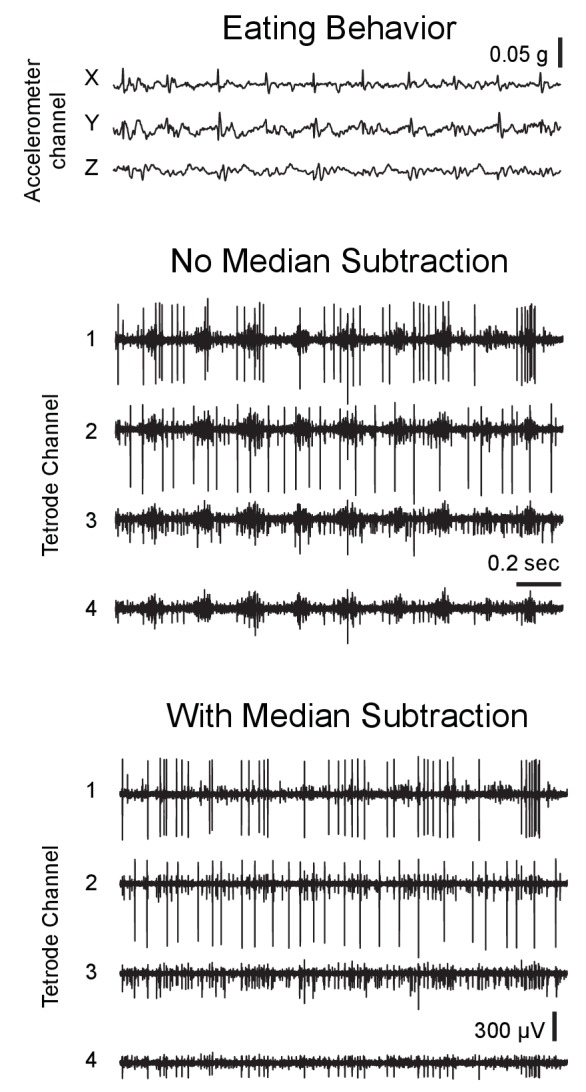 Figure 2—figure supplement 4.