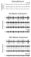 Figure 2—figure supplement 4.