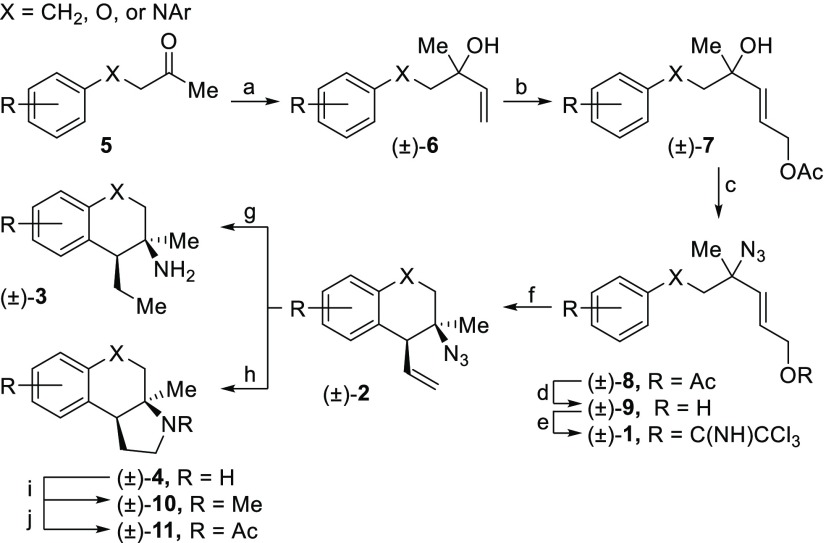 Scheme 2