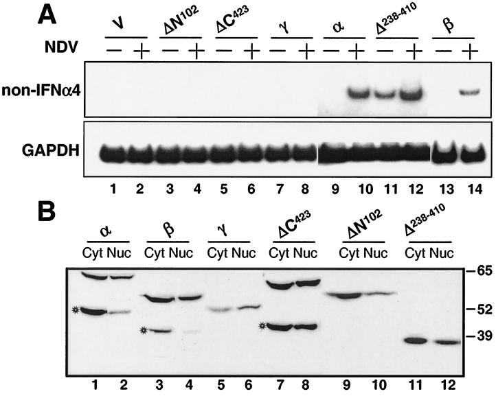 FIG. 4