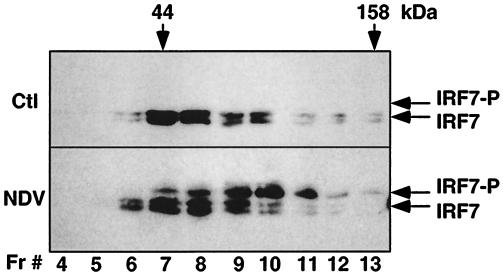 FIG. 6