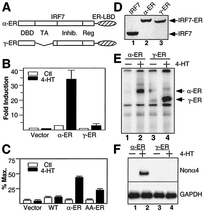 FIG. 7