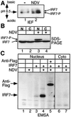 FIG. 1