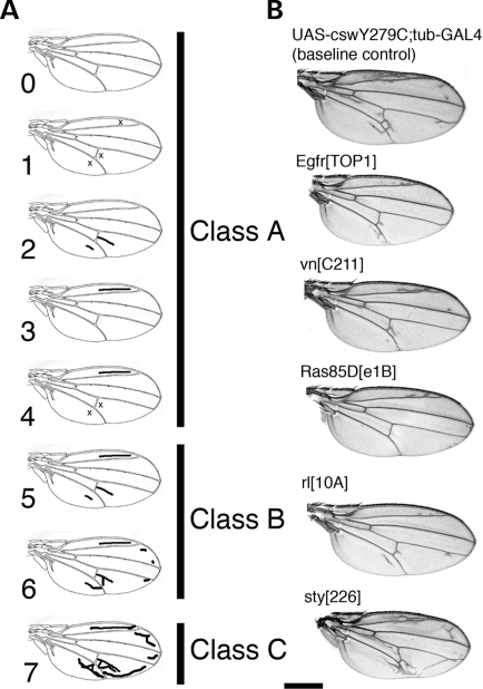 Figure 4.