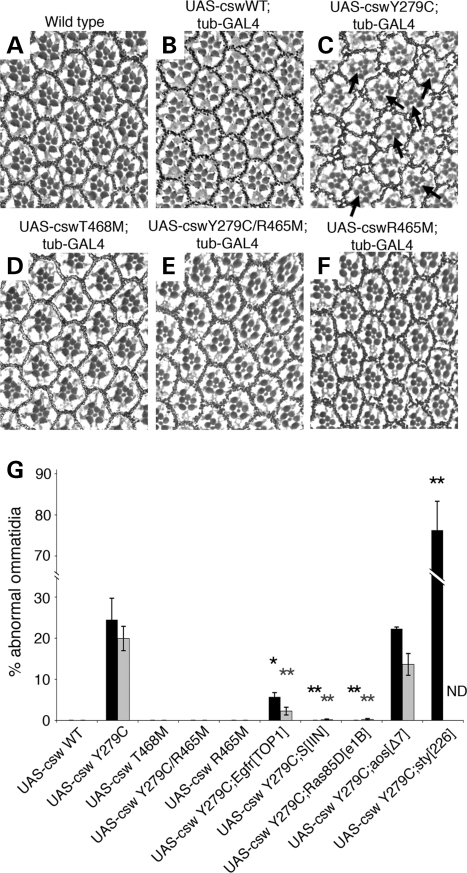 Figure 3.