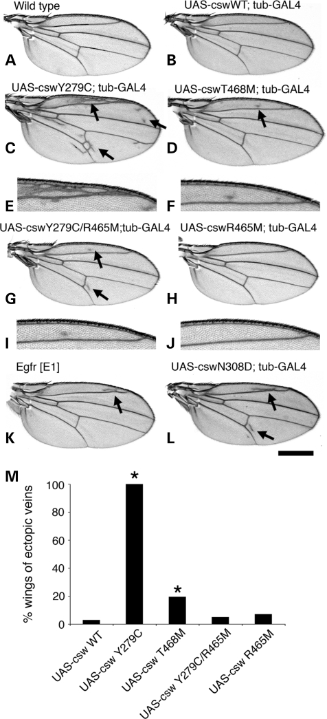 Figure 2.