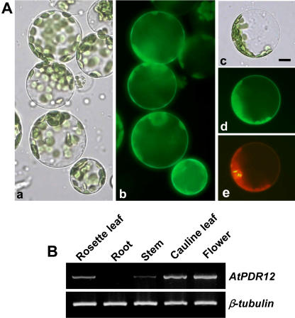 Figure 10.