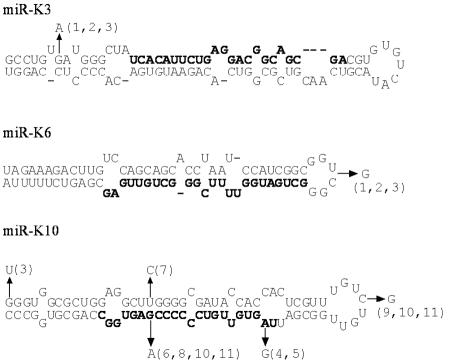 FIG. 5.