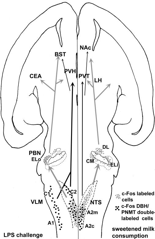 Fig. 10