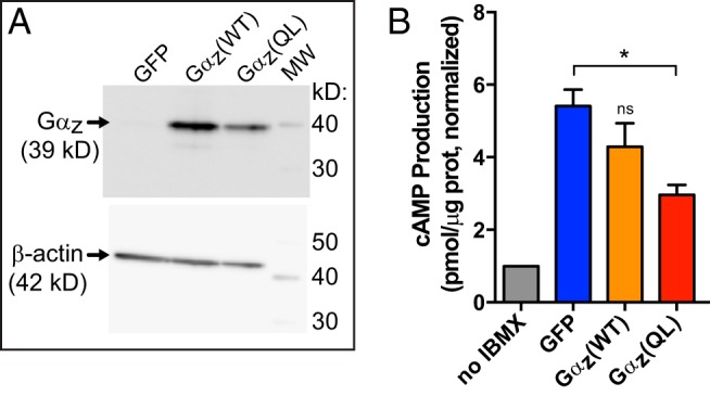 Figure 5.