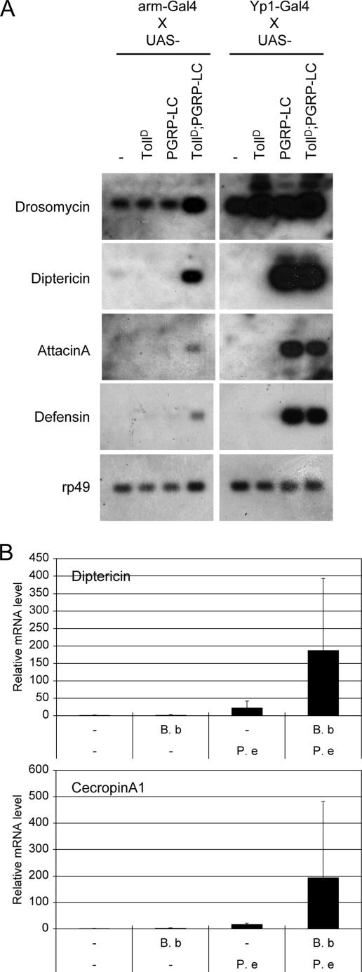 FIG. 4.