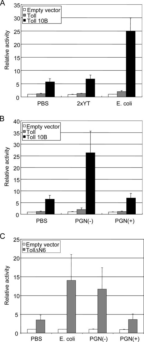 FIG. 2.