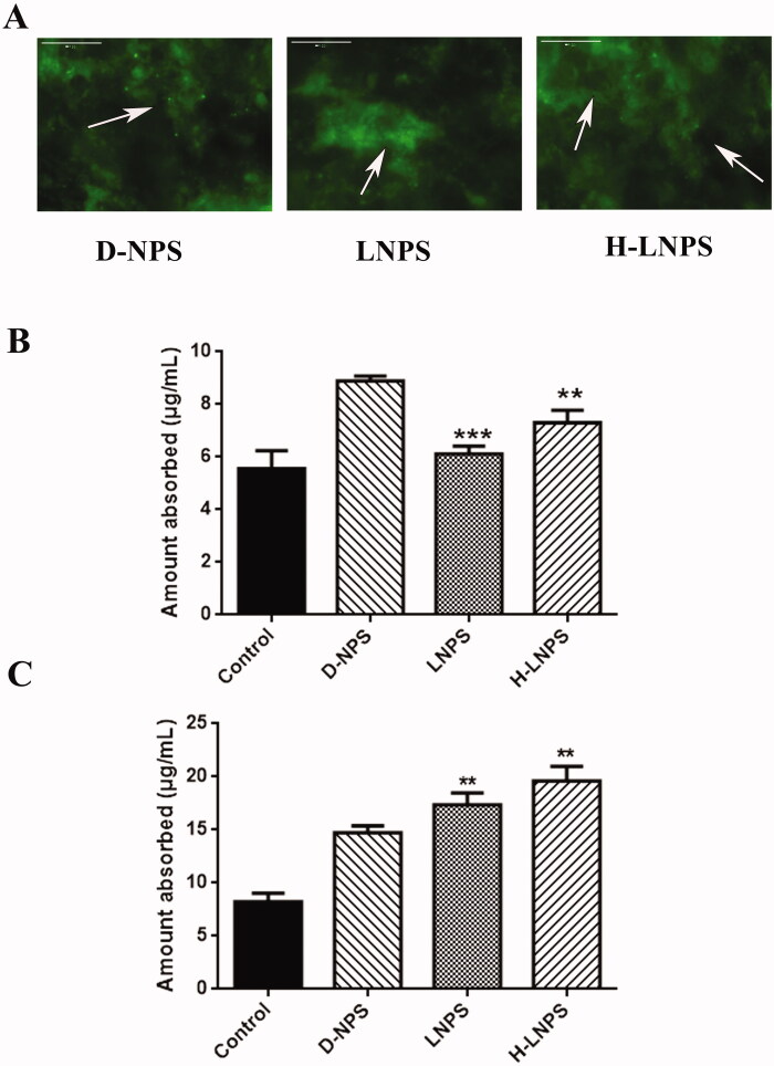 Figure 6.