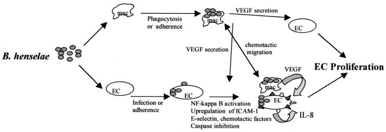 FIG. 6.