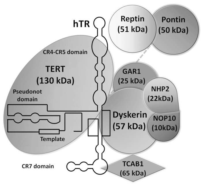 Figure 5.