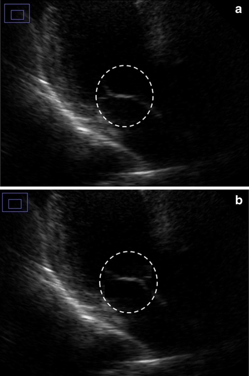 Fig. 8