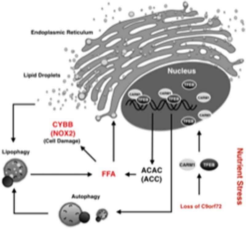 Figure 2.