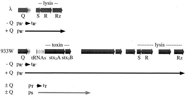 FIG. 5