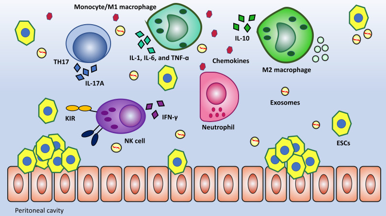 Figure 2