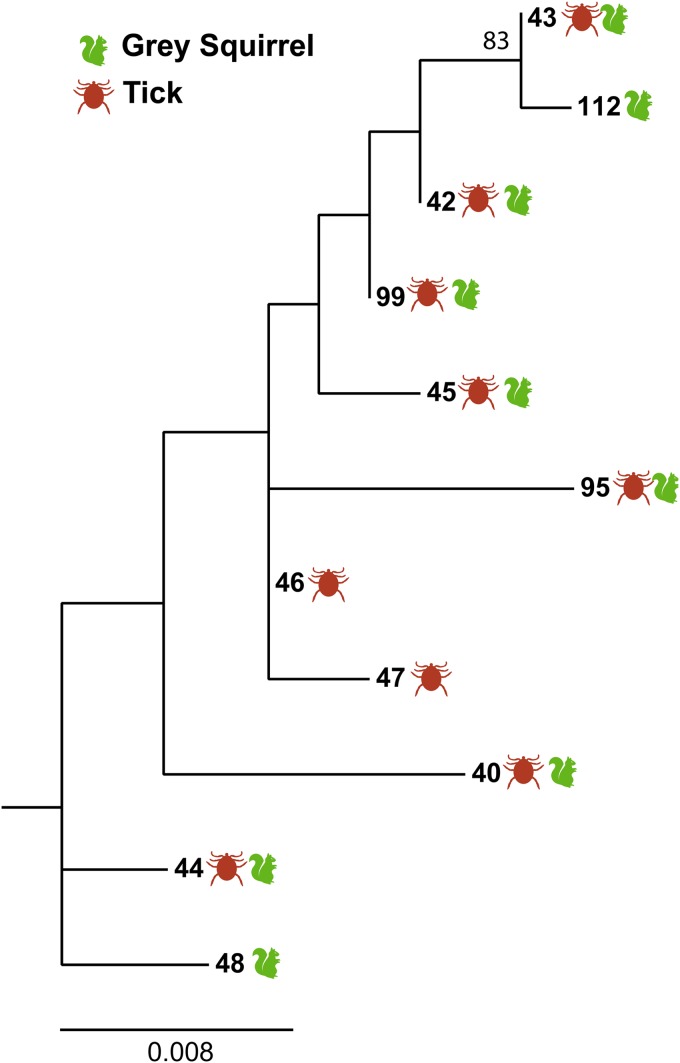 FIG 2