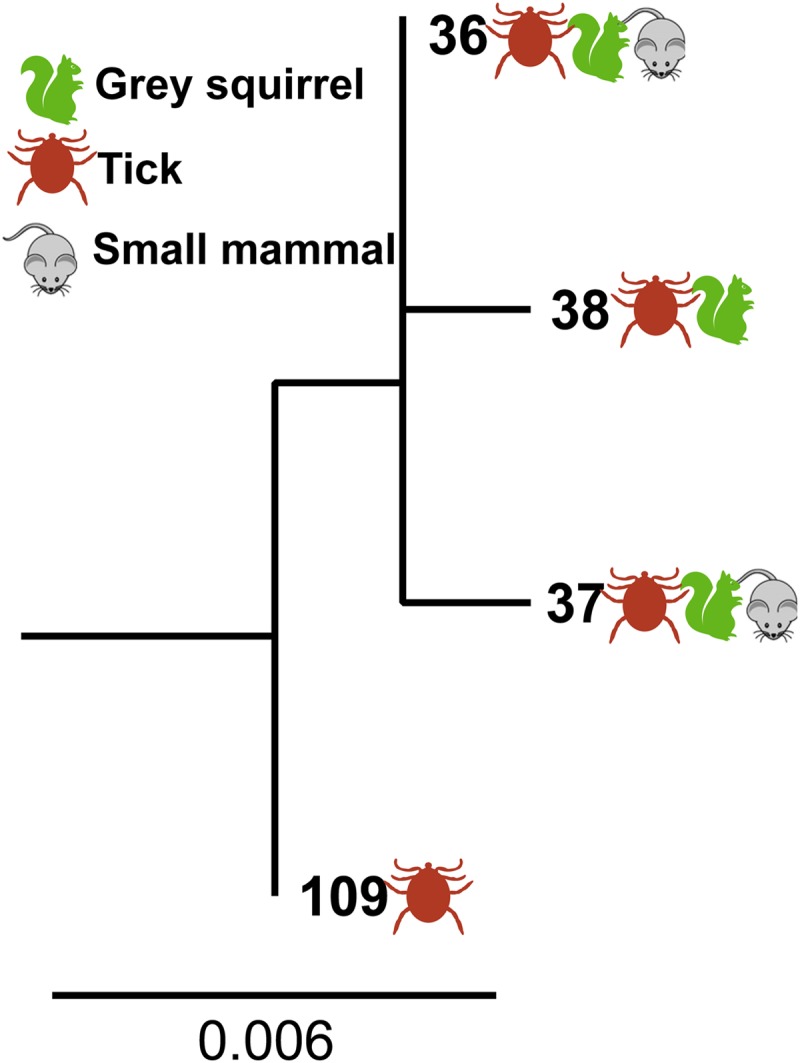 FIG 3