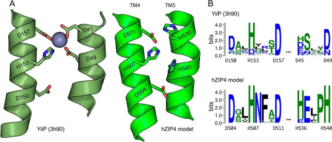 FIGURE 14.