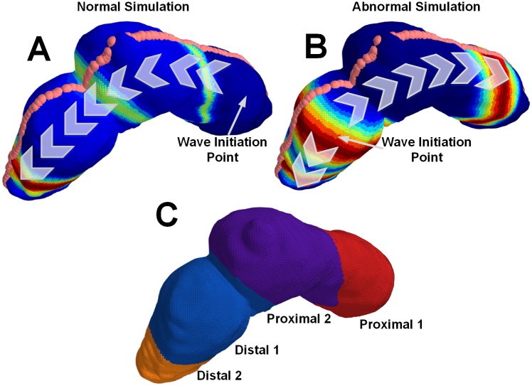 Fig 2