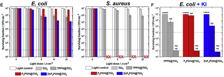 Fig. 10