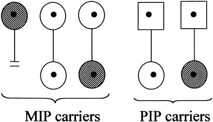 Figure  1