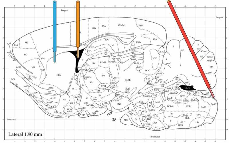 Figure 2.