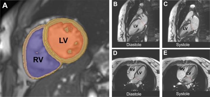 Fig. 2