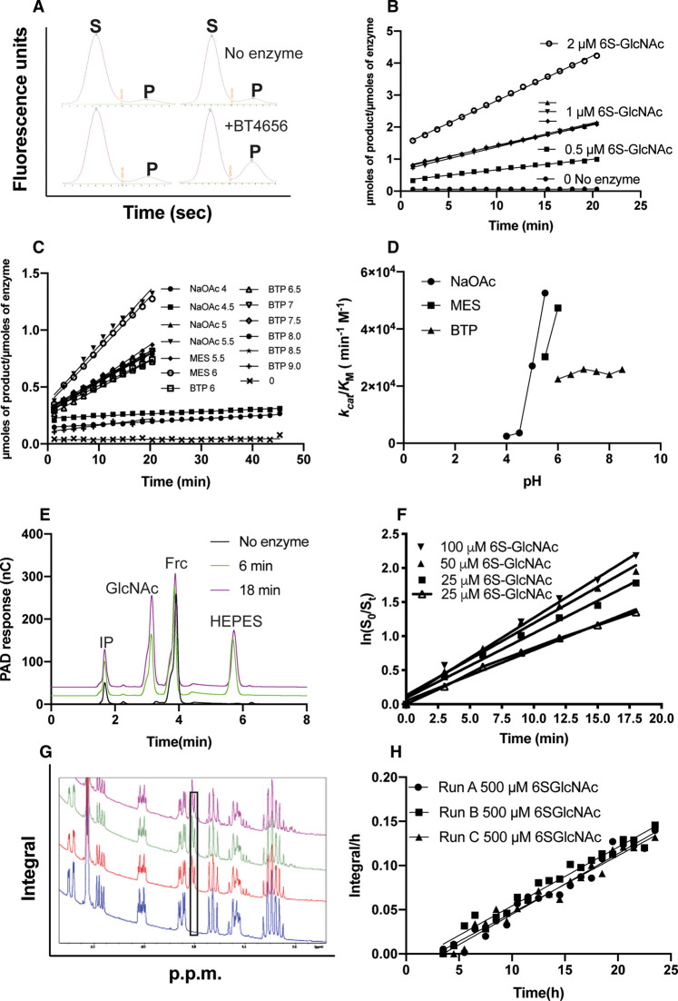 Figure 2.