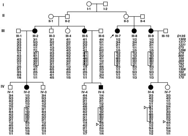 Figure  1. 