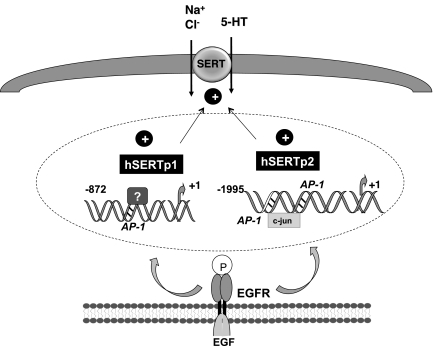 Fig. 8.