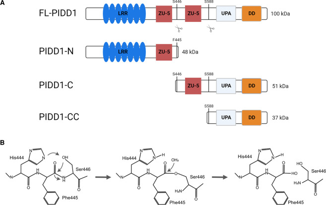 Figure 2.