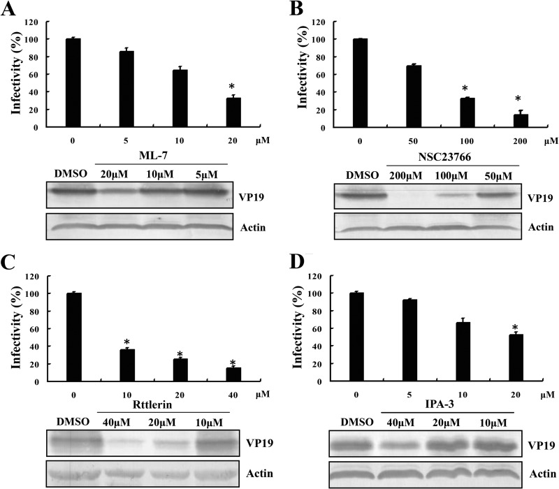 FIG 6