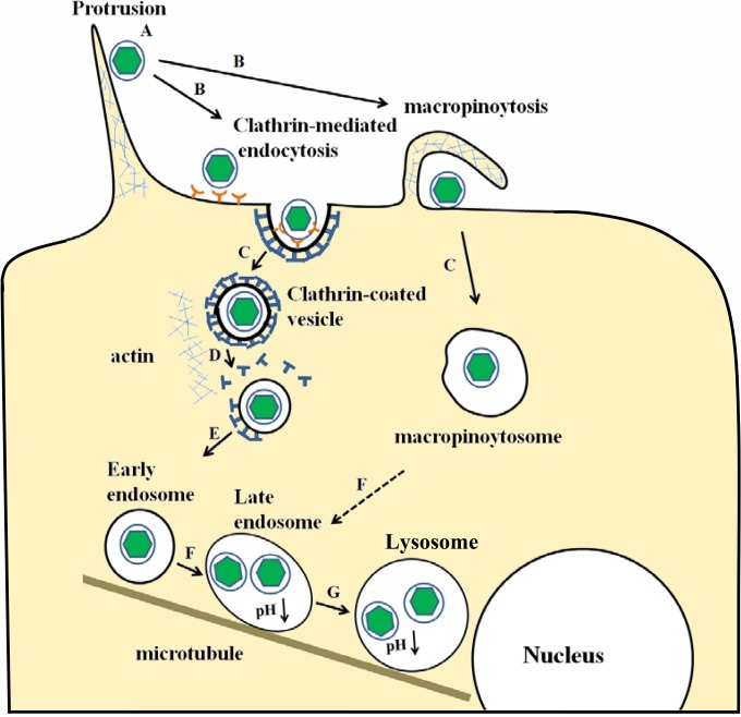 FIG 10