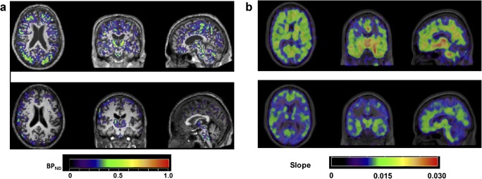 Fig. 4