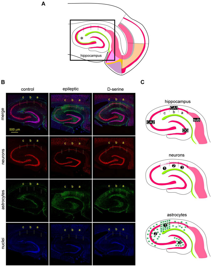 Fig 4: