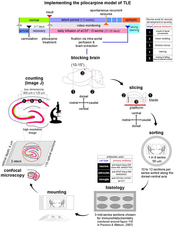 Fig. 2: