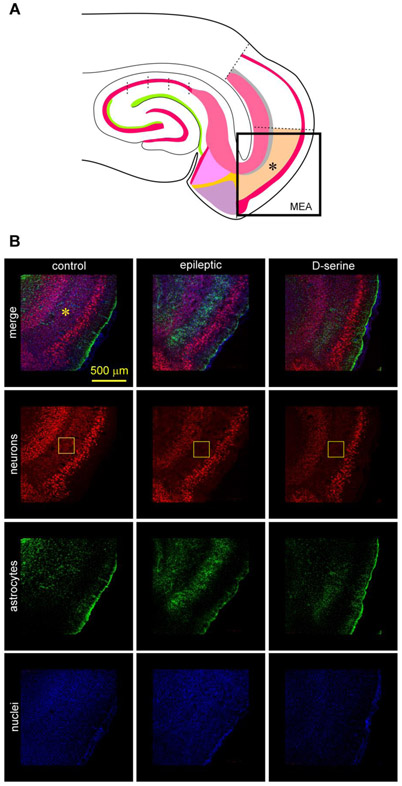 Fig 3: