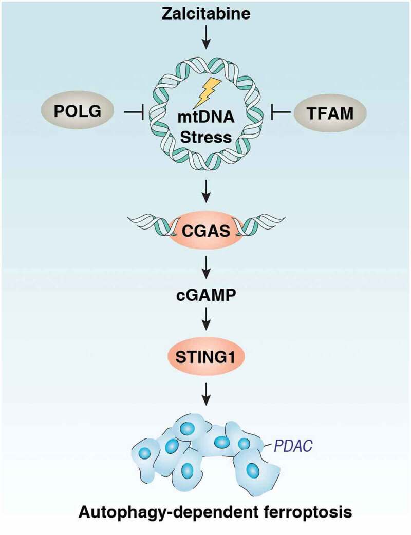 Figure 6.