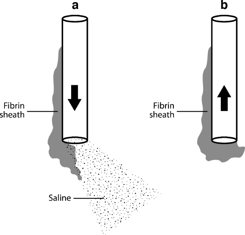 Fig. 19