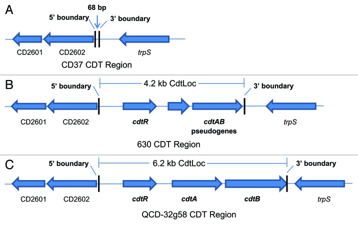 graphic file with name gmic-5-15-g1.jpg