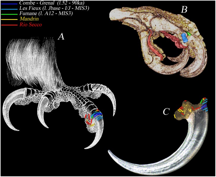 Figure 7