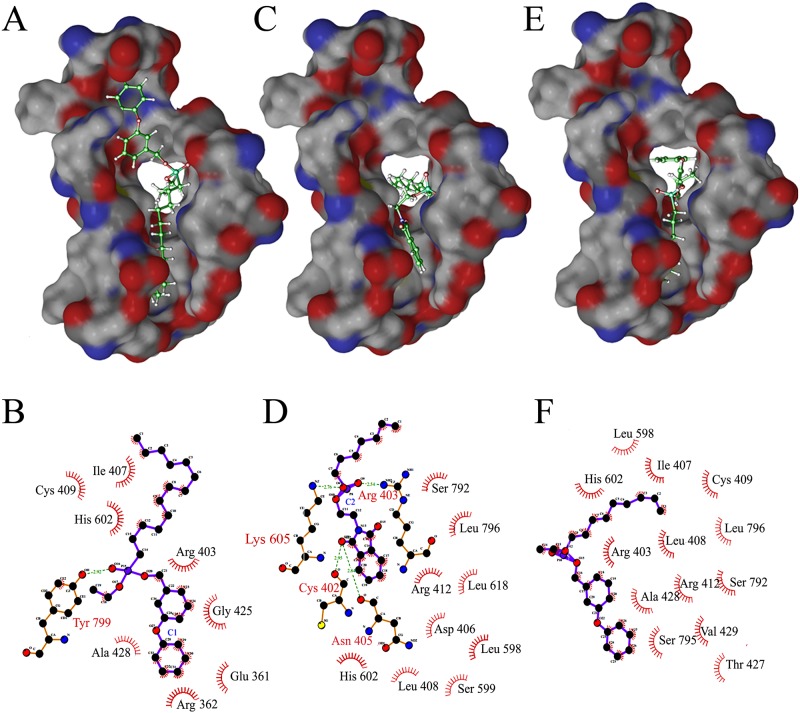 Fig 3