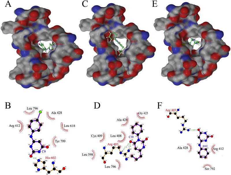 Fig 5