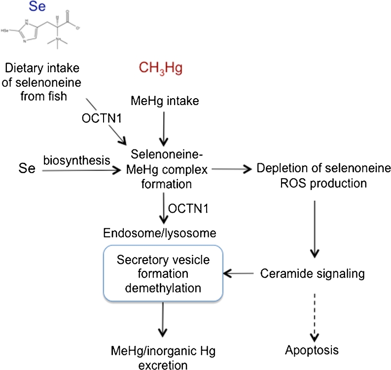 Fig. 10