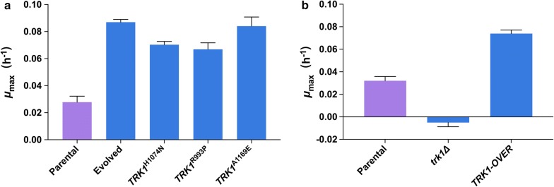 Fig. 3